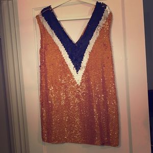 Zara Trafaluc Party Dress, only worn one time, M